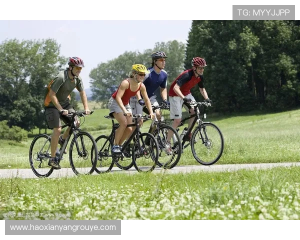 以列有体育联赛吗的简单介绍sports